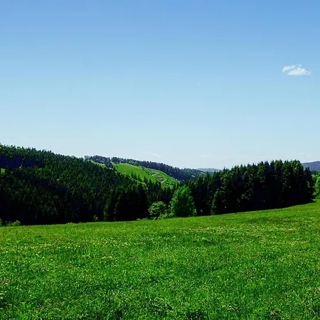 Ferienhauspark Holiday home Hasselfelde