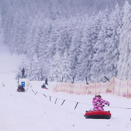 Holiday home Ferienhauspark Hasselfelde