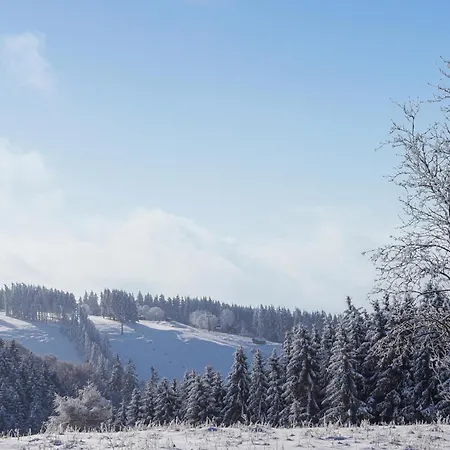 Ferienhauspark * Hasselfelde