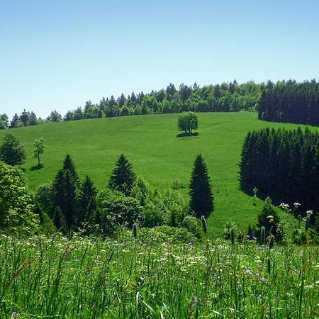 Holiday home Ferienhauspark Hasselfelde