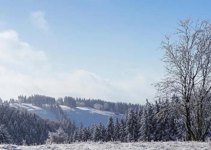 Ferienhauspark * Hasselfelde