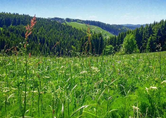 Nyaraló Ferienhauspark *