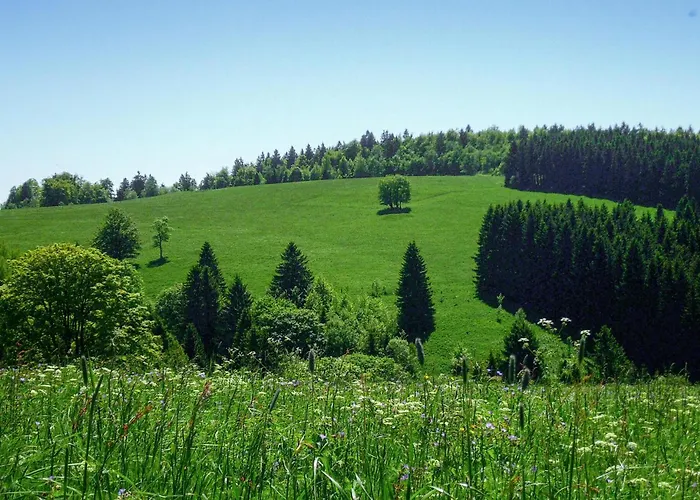 Nyaraló Ferienhauspark Hasselfelde